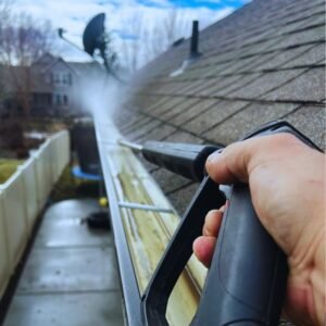 Gutter Cleaning